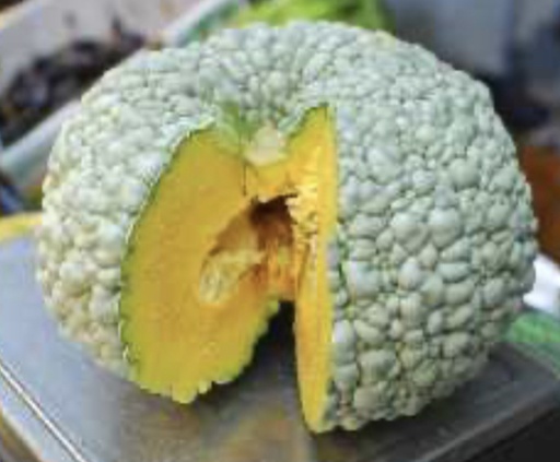 [07506] CALABAZA TOTELANA