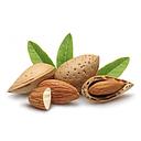 [2886] ALMENDRA CASCARA GRANEL