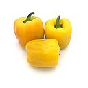 [2135] Pimiento california amarillo