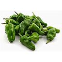 [2103] PIMIENTO PADRÓN