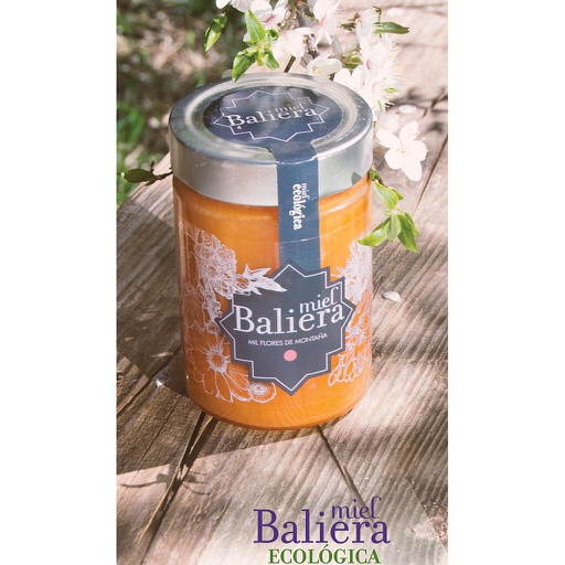[3219] Miel mil flores 470gr BALIERA